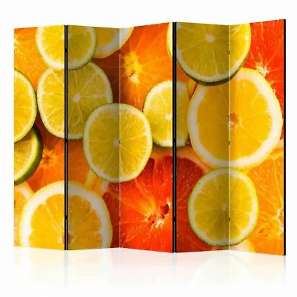 artgeist Paravent Citrus fruits II [Room Dividers] mehrfarbig Gr. 225 x 172 günstig online kaufen