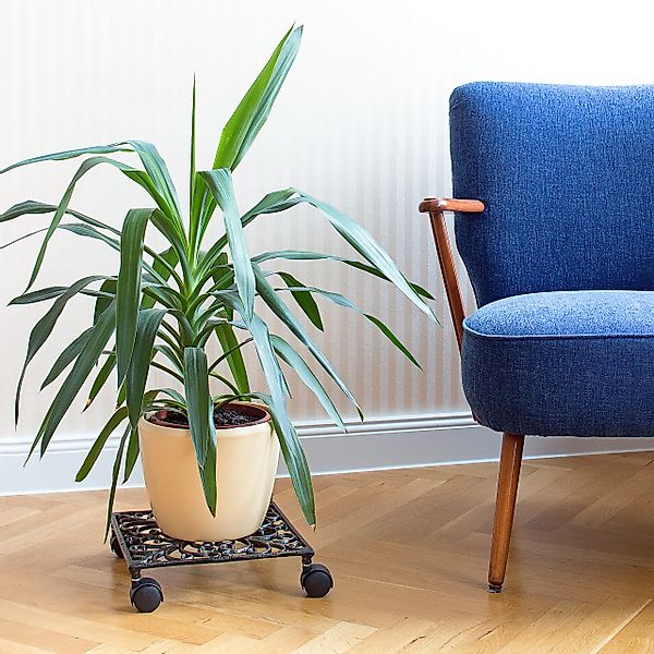 relaxdays Blumentopfuntersetzer Pflanzenroller Gusseisen, quadratisch günstig online kaufen