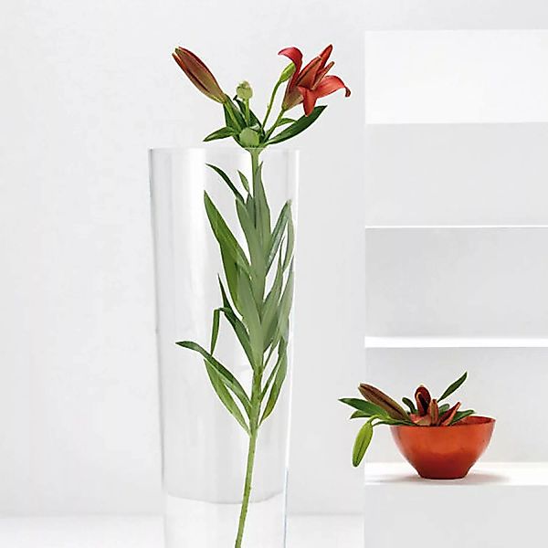 home24 Leonardo Vase Iconic 50 Transparent Glas 17x50x17 cm (BxHxT) illumin günstig online kaufen