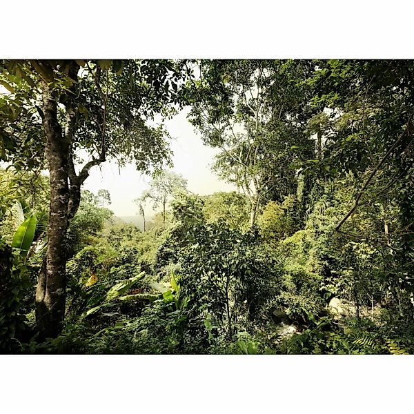 Komar Fototapete Vlies Dschungel  350 x 250 cm günstig online kaufen