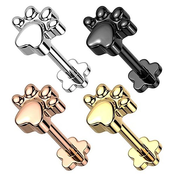 Taffstyle Piercing-Set Titan Tragus Knorpel Helix günstig online kaufen