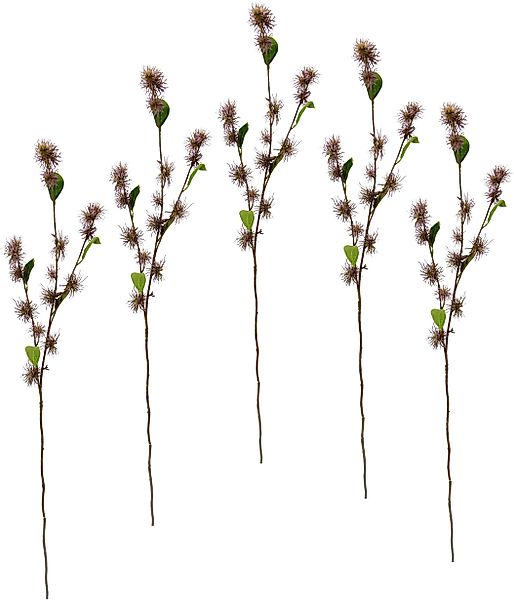 Kunstblume Zaubernuss, I.GE.A., Höhe 100 cm, günstig online kaufen