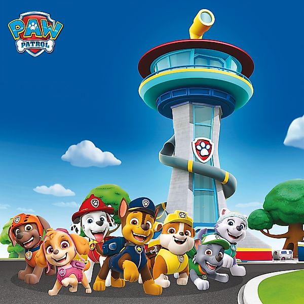 Bönninghoff Leinwandbild "Paw Patrol", Filmfiguren, (1 St.), BxH: 35x35 cm günstig online kaufen