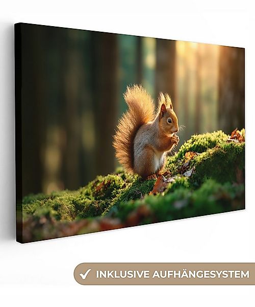 OneMillionCanvasses® Leinwandbild Eichhörnchen - Nuss - Gras, Fotodruck (1 günstig online kaufen