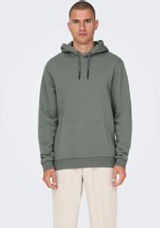 ONLY & SONS Kapuzensweatshirt ONSCERES HOODIE günstig online kaufen