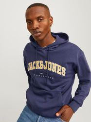 Jack & Jones Kapuzensweatshirt JJECALEB VARSITY günstig online kaufen