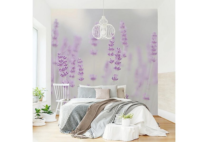 Bilderdepot24 Fototapete Blumen Sommer Lavendelfeld Blumentapete Floral Nat günstig online kaufen