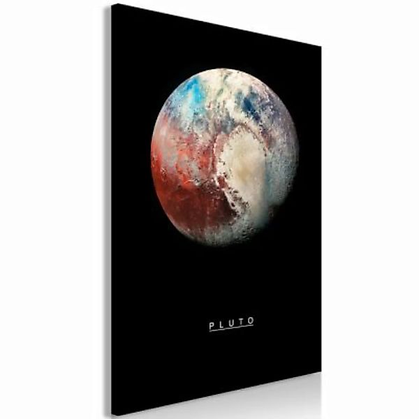 artgeist Wandbild Pluto (1 Part) Vertical mehrfarbig Gr. 40 x 60 günstig online kaufen