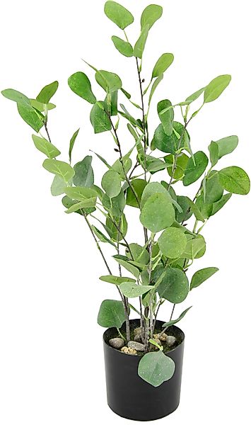 Kunstbaum Eukalyptus im Topf künstlich Eukalyptusbaum günstig online kaufen