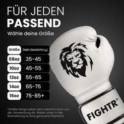 FIGHTR Boxhandschuhe FBG XIV – Stabil günstig online kaufen