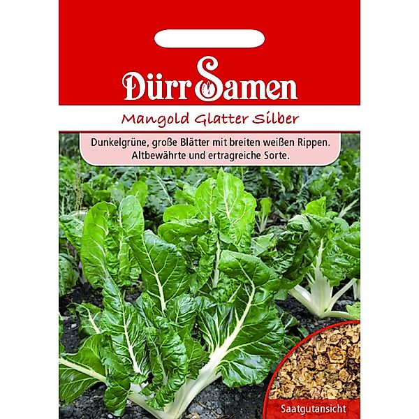 Dürr Samen Mangold Glatter Silber Saatgut günstig online kaufen