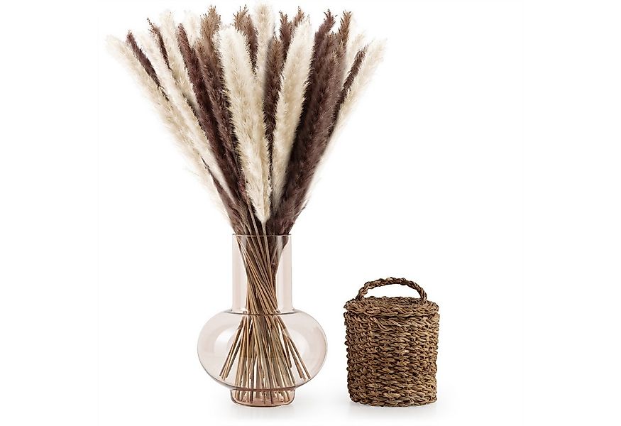 Kunstpflanze getrocknet - Trockenblumen, Ideales Dekoelement Pampasgras, Bl günstig online kaufen