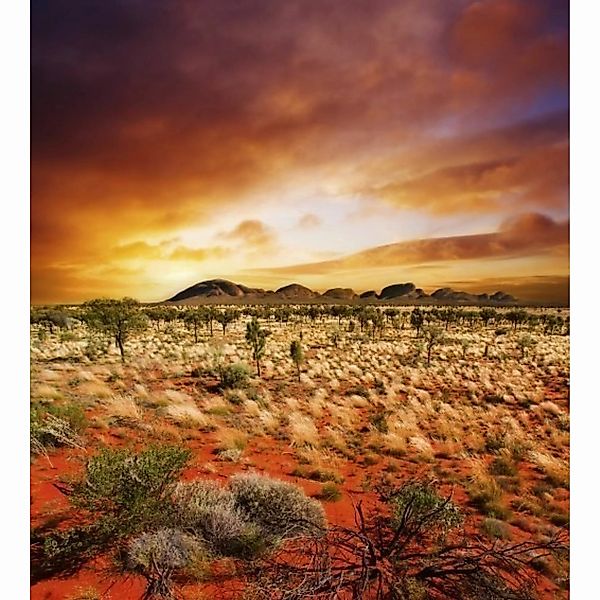 Fototapete AUSTRALIAN LANDSCAPE  | MS-3-0050 | Orange | Digitaldruck auf Vl günstig online kaufen