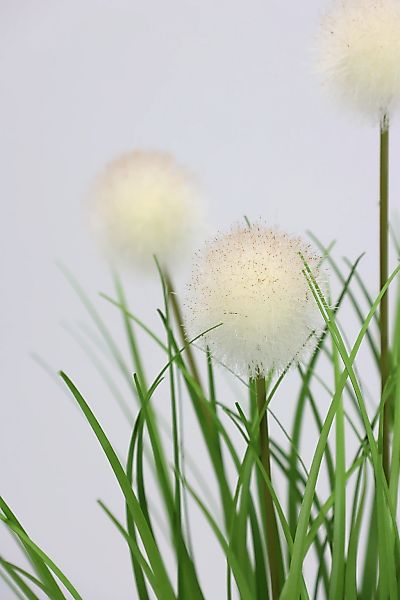 I.GE.A. Kunstpflanze "Knopfgras im Topf" günstig online kaufen