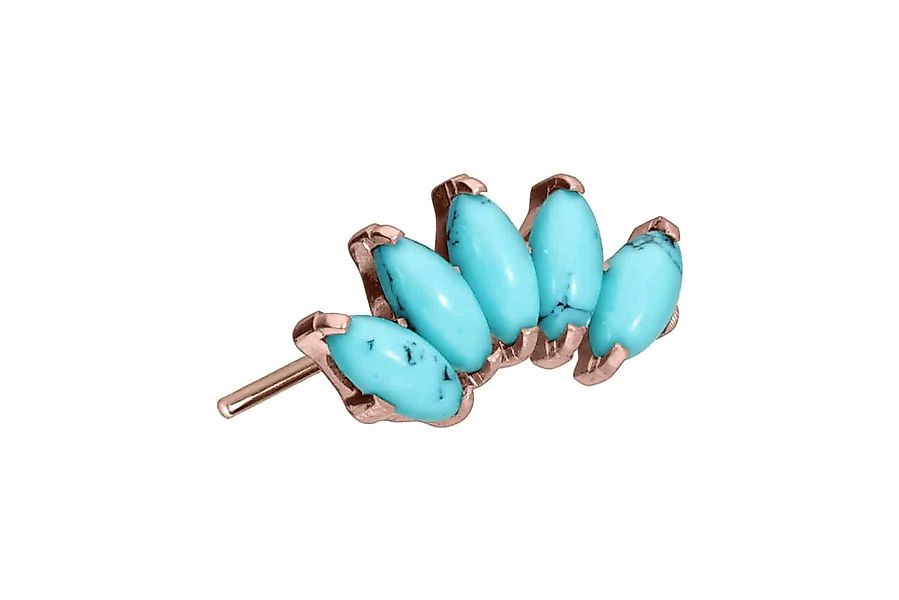 PIERCINGLINE Piercing-Set Titan Aufsatz mit Push günstig online kaufen