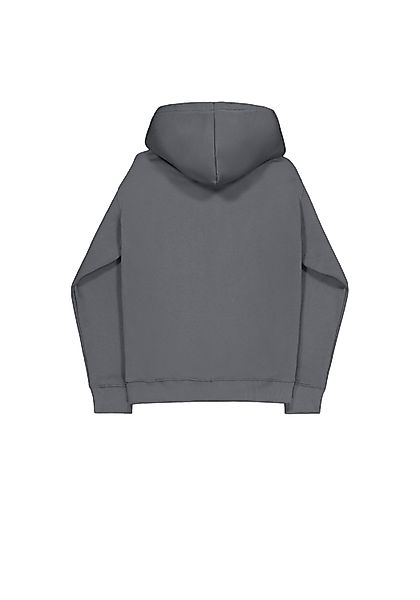 Alpha Industries Hoodie Basic Hoodie BL günstig online kaufen
