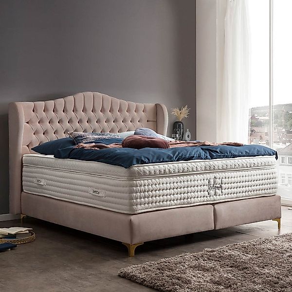 BettCo Boxspringbett Maison (in Rose Samt, günstig online kaufen