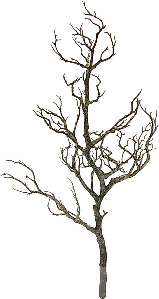 Kunstpflanze Deko-Ast, I.GE.A., Höhe 80 cm günstig online kaufen