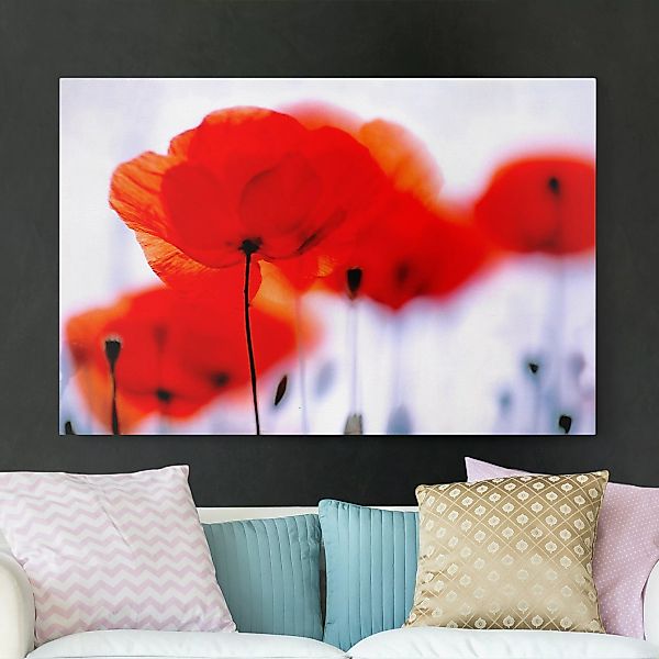 Leinwandbild Blumen - Querformat Magic Poppies günstig online kaufen