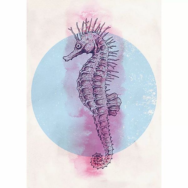 Komar Wandbild Sea Horse Circle Tiere B/L: ca. 50x70 cm günstig online kaufen