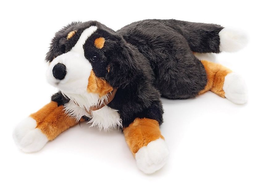 Uni-Toys Kuscheltier Berner Sennenhund mit Geschirr - 62 cm - Plüsch-Hund - günstig online kaufen