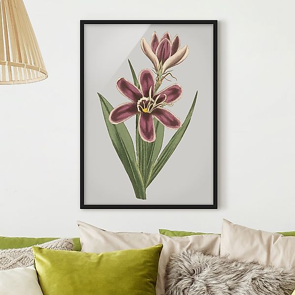 Bild mit Rahmen - Hochformat Florale Schmuckstücke II günstig online kaufen