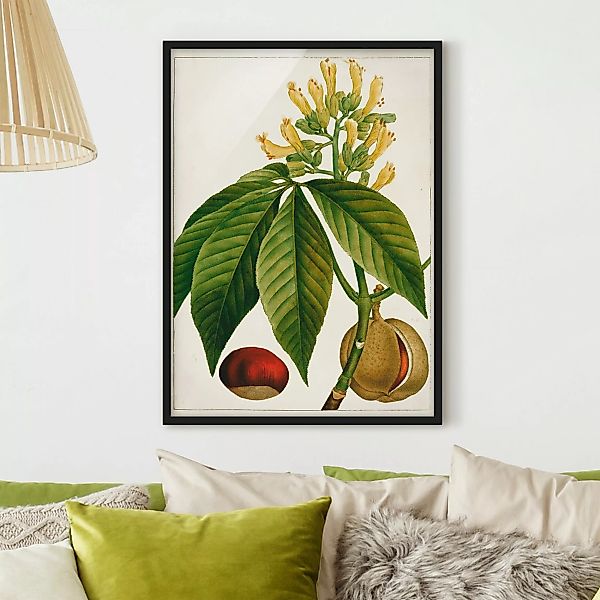 Bild mit Rahmen - Hochformat Tableau Blatt Blüte Frucht VI günstig online kaufen