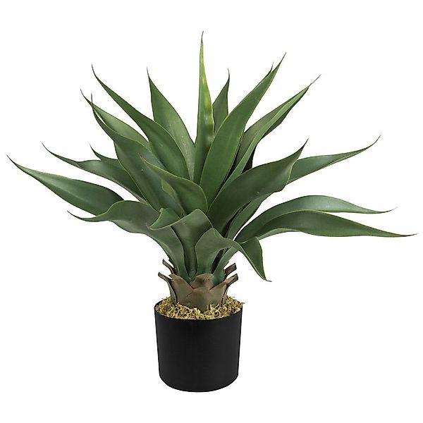 Künstliche Zimmerpflanze Aloe Vera Kunstpflanze Plastikpflanze günstig online kaufen