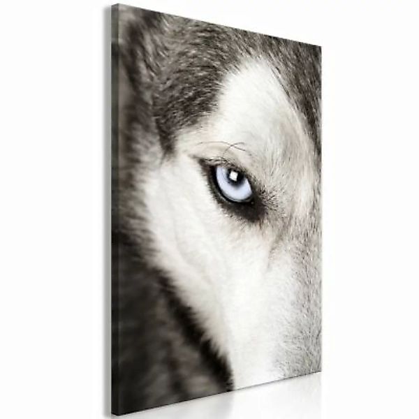 artgeist Wandbild Dog's Look (1 Part) Vertical mehrfarbig Gr. 40 x 60 günstig online kaufen