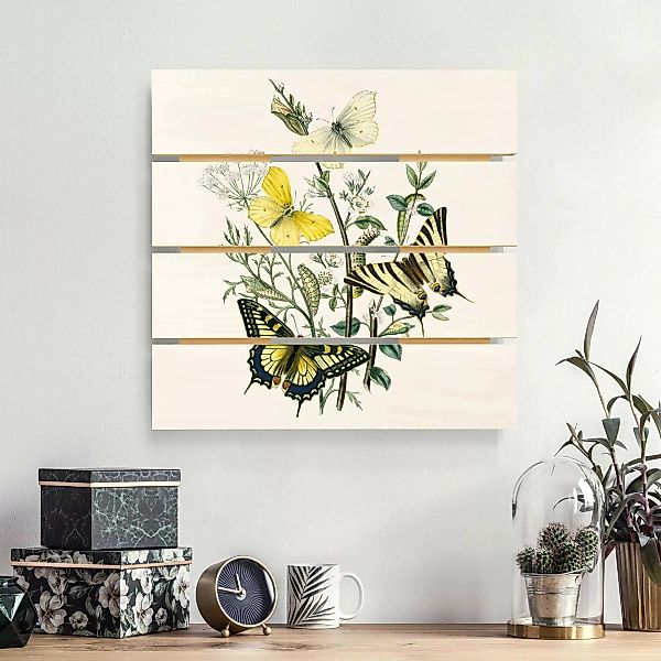 Holzbild Plankenoptik Blumen - Quadrat Britische Schmetterlinge III günstig online kaufen