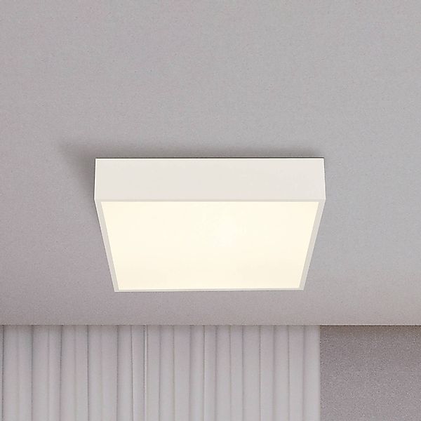 LED-Bad-Deckenlampe Zeus, weiß, Länge 30 cm, Metall günstig online kaufen