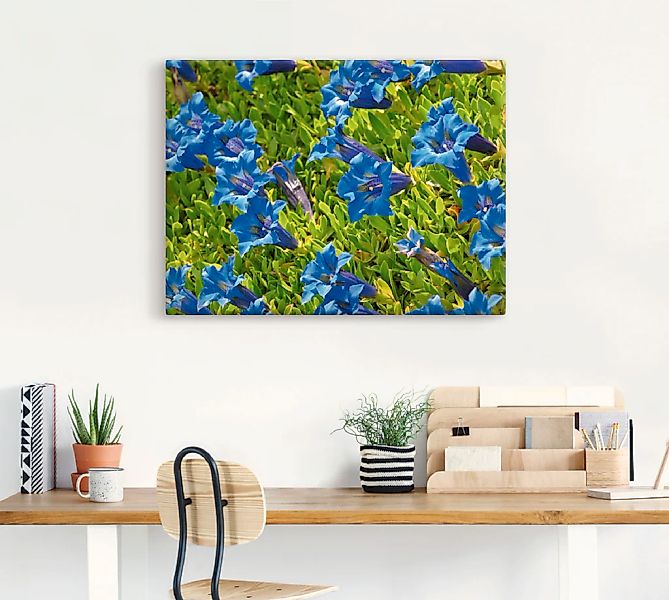 Artland Wandbild »Enzian«, Blumenwiese, (1 St.), als Leinwandbild, Poster i günstig online kaufen
