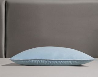 RIBECO Federkissen Leon, Füllung: 90% Federn, günstig online kaufen