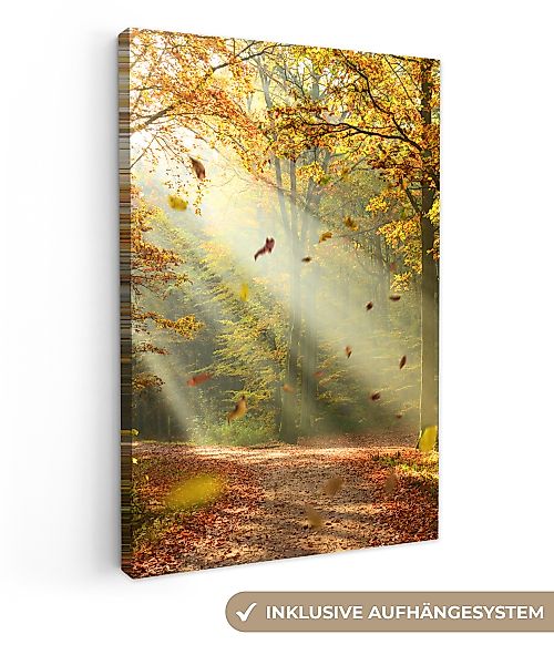 OneMillionCanvasses® Leinwandbild Wald - Bäume - günstig online kaufen