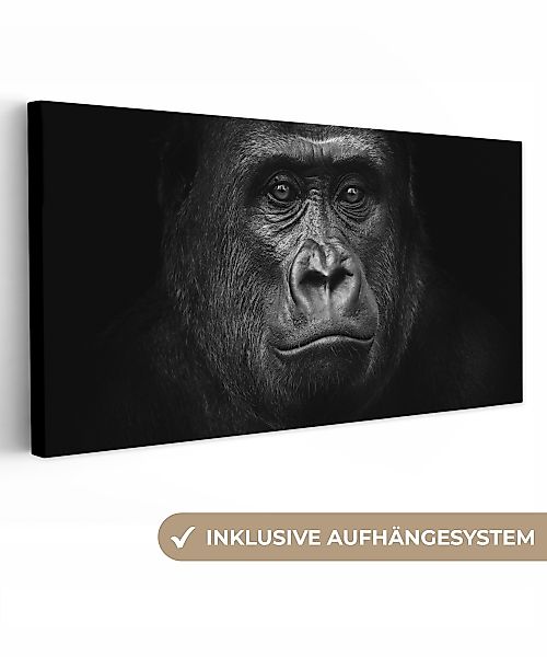 OneMillionCanvasses® Leinwandbild Panorama Gorilla - Schwarz günstig online kaufen