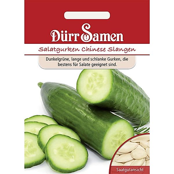 Dürr Samen Salatgurken Chinese Slangen Saatgut günstig online kaufen