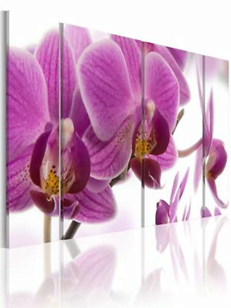 artgeist Wandbild Marvelous orchid mehrfarbig Gr. 60 x 30 günstig online kaufen