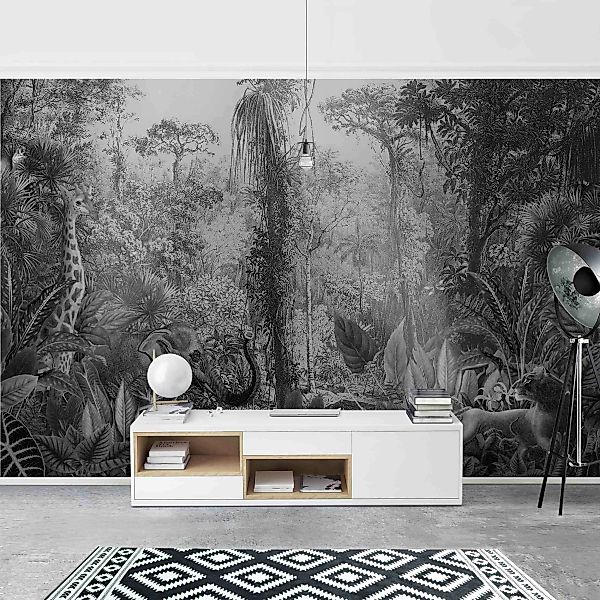 Fototapete Antiker Dschungel Schwarz Weiß günstig online kaufen
