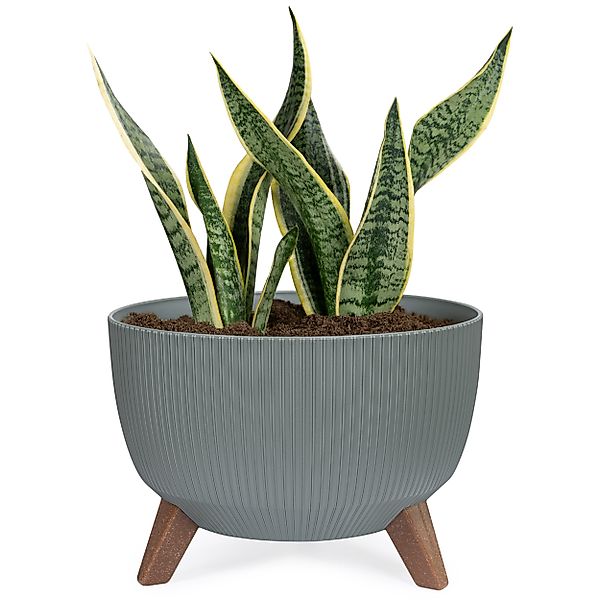 KONZEPT Blumentopf Pflanzenschale mit Füßen 33 günstig online kaufen