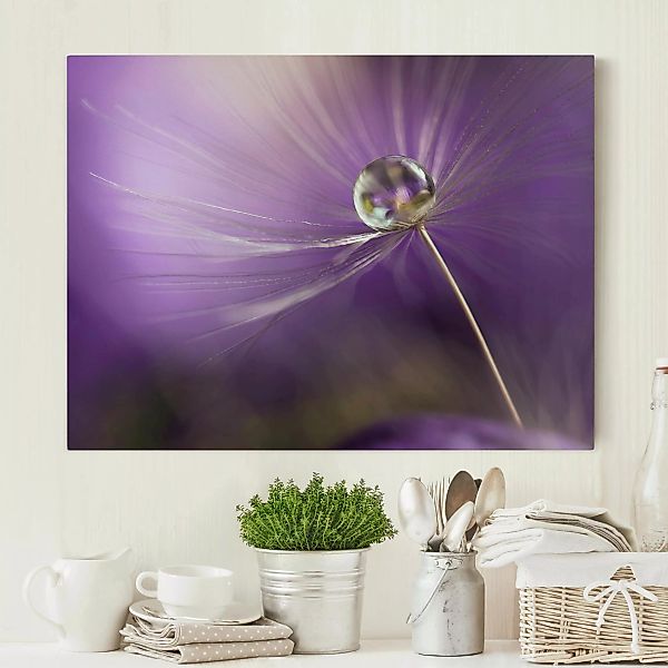 Leinwandbild Blumen - Querformat Pusteblume in Violett günstig online kaufen