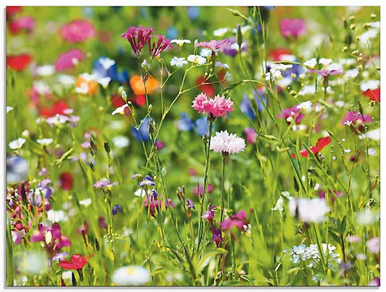 Artland Glasbild »Blumenwiese I« Blumenwiese 1 Stk. tlg. in verschiedenen G günstig online kaufen