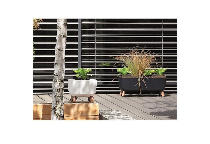 Prosperplast Blumentopf Gracia Square, Blumentopf mit abnehmbaren Beinen in günstig online kaufen