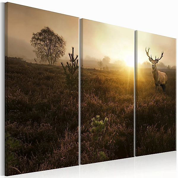 Wandbild - Foggy Field I günstig online kaufen