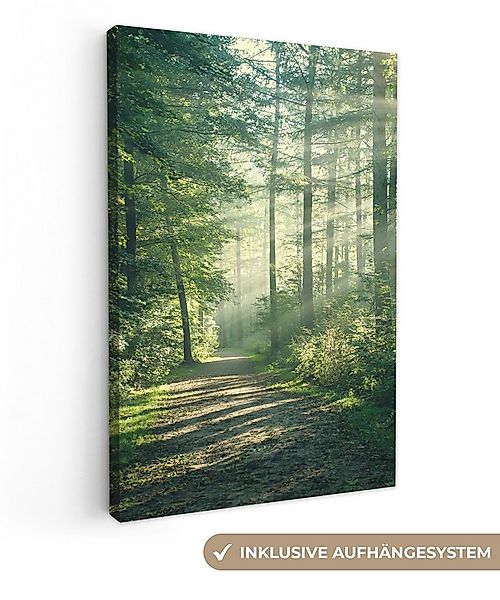OneMillionCanvasses® Leinwandbild Wald - Weg - Sonne - Bäume - Grün - Natur günstig online kaufen