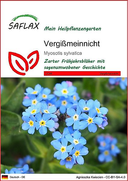 SAFLAX Blumensamen SAFLAX - Samen - Vergißmeinnicht günstig online kaufen