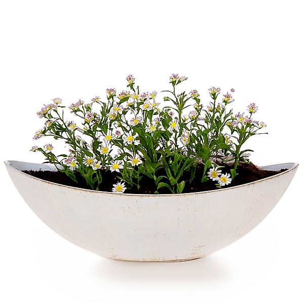 matches21 HOME & HOBBY Blumentopf Große günstig online kaufen