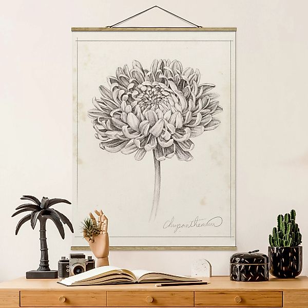 Stoffbild Blumen mit Posterleisten - Hochformat Botanische Studie Chrysanth günstig online kaufen