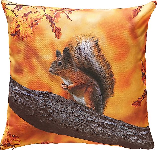 Erwin Müller Kissenbezug Kissenhülle "Eichhörnchen", (1 günstig online kaufen
