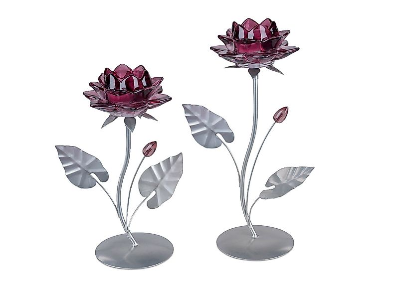 formano Teelichthalter Seerose günstig online kaufen