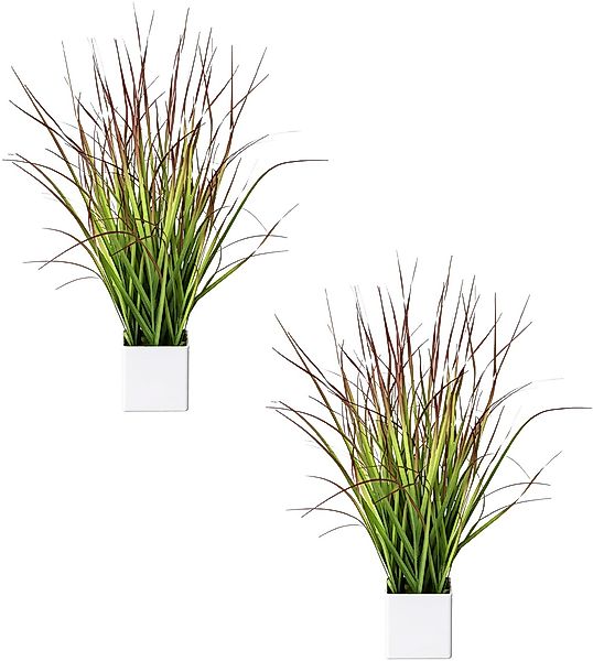 Kunstgras Blutgras, Creativ green, Höhe 46 cm, im weißen Kunststofftopf günstig online kaufen